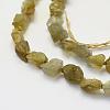 Natural Labradorite Beads Strands G-K202-11C-3