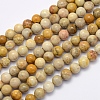 Natural Fossil Coral Beads Strands G-G697-F01-4mm-1