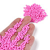 Baking Paint Glass Seed Beads SEED-S002-K2-4