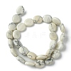 Natural Howlite Beads Strands G-K365-B14-02-3