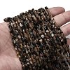 Natural Chiastolite Beads Strands G-I389-A26-1