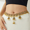 Bohemian Alloy Rhinestone & Glass Teardrop Tassel Waist Belly Chains for Women FS-WG246E4-02-1