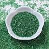 MIYUKI Delica Beads SEED-X0054-DB0152-2