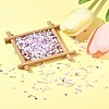 2 Sets Glass Seed Beads DIY-FS0008-27D-10