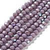 Opaque Glass Beads Strands EGLA-A035-P6mm-L11-1