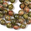 Natural Unakite Beads Strands G-C249-A174-16mm-5