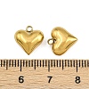 304 Stainless Steel Charms STAS-Z166-10G-3