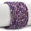Natural Charoite Beads Strands GG-CBA5A1A-A03-03-2