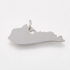 Tarnish Resistant 201 Stainless Steel Pendants X-STAS-T038-47-2