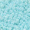 Glass Seed Beads X1-SEED-H002-H-1304-3