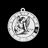 Non-Tarnish 201 Stainless Steel Pendants STAS-T056-LA720-6-1