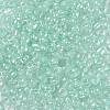 6/0 Glass Seed Beads SEED-A015-4mm-2213-2