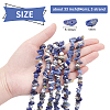 3 Strand Natural Sodalite Beads Strands G-BC0001-26-3