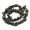 Natural Trochid Shell/Trochus Shell Beads Strands SHEL-S258-080-2