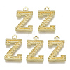 Alloy Pendants PALLOY-N157-002Z-NR-1