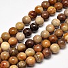 Natural Petrified Wood Round Bead Strands G-F266-08-10mm-1