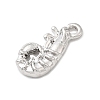 Alloy Pendantss FIND-I066-03P-2