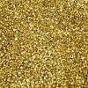 Baking Paint Transparent Glass Seed Beads X-SEED-N006-05C-3