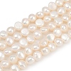 Natural Cultured Freshwater Pearl Beads Strands PEAR-P064-20A-06A-2