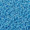 MIYUKI Round Rocailles Beads SEED-G009-RR0433-3