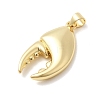 Crab Claw Charms Brass Pendants KK-H529-57B-G-2