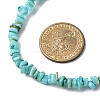 Dyed Natural Freshwater Shell Nuggets Beaded Necklaces NJEW-JN05488-02-3
