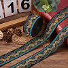 Ethnic Style Embroidery Polyester Ribbons SK-TAC0001-02-13