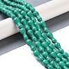 Synthetic Turquoise Beads Strands G-K362-G02-01-2