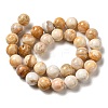 Natural Crazy Lace Agate Beads Strands G-H298-A12-05-3