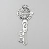 Tibetan Style Zinc Alloy Big Pendants FIND-WH0139-675AS-1