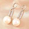 Paperclip with Round Brass Hoop Earrings EJEW-Z164-12P-1