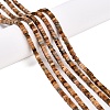 Natural Picture Jasper Beads Strands G-N342-74-4