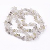 Natural Rutilated Quartz Stone Bead Strands X-G-R192-16-2