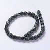 Natural Kambaba Jasper Beads Strands G-K267-08A-2