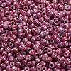 TOHO 6/0 Round Beads SEED-XTR06-1202-4