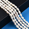 Natural Cultured Freshwater Pearl Beads Strands PEAR-N012-04F-2
