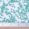 MIYUKI Delica Beads SEED-MY11-DB0166-4