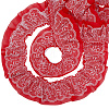 10 Yards Polyester Lace Ribbon OCOR-GF0006-25A-1