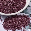 MIYUKI Delica Beads SEED-MY11-DB2308-1
