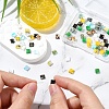 80Pcs 10 Styles 2-Hole Glass Seed Beads SEED-YW0002-94-5
