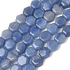 Natural Blue Aventurine(Dyed & Heated) Beads Strands G-G463-A03-8x9mm-2