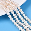 Natural Cultured Freshwater Pearl Beads Strands PEAR-N013-05H-01-1