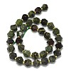 Natural Dragon Blood Beads Strand G-I376-A19-01-2