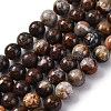 Natural Mexico Crazy Agate Beads Strands G-L615-A01-03-3