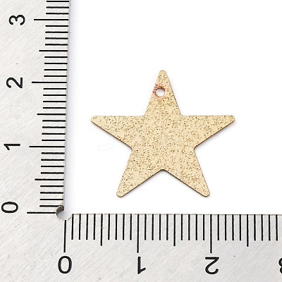 Geometric Alloy Sheet Printed Pendant Earrings Accessories LS-PALLOY-E139-01G-01-1
