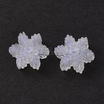 Transparent Acrylic Beads OACR-P007-30-1