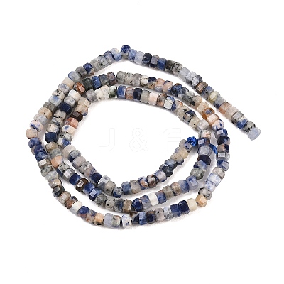 Natural Sodalite Beads Strands G-G345-C32-2x4mm-1