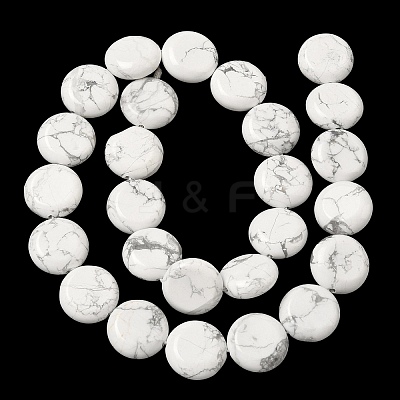Natural Howlite Beads Strands G-L648-B17-15mm-1