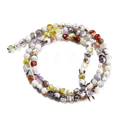 Dyed Natural Fire Crackle Agate Beads Strands G-G007-01D-1