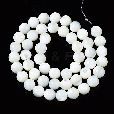 Natural Trochid Shell/Trochus Shell Beads Strands SSHEL-S266-023A-03-1